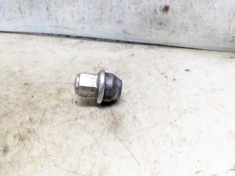 2015-2023 Ford Expedition Wheel Lug Nut Set of 24 ACPZ-1012-B OEM - Alshned Auto Parts