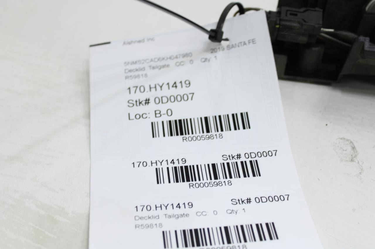 19-20 Hyundai Santa Fe Liftgate License Plate Light Panel w/ Camera 99240-81001 - Alshned Auto Parts