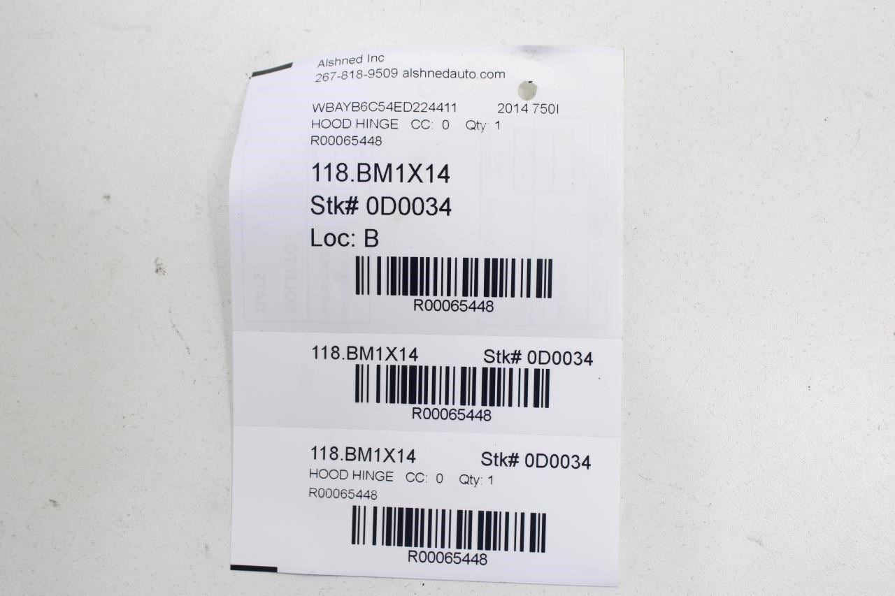 2010-2015 BMW 750i xDrive Front Left and Right Hood Bonnet Hinge 41617291701 OEM - Alshned Auto Parts
