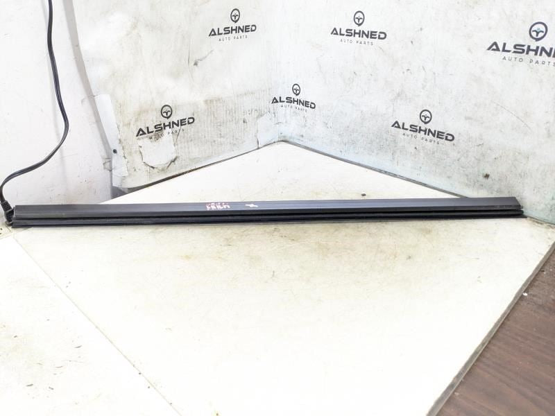 2009-2020 Dodge Journey Front Left Door Belt Inner Weatherstrip 
