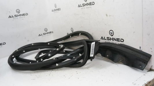 2018 Ford F150 Passenger RH Front Door Glass Weatherstrip FL34-1520530-A OEM - Alshned Auto Parts