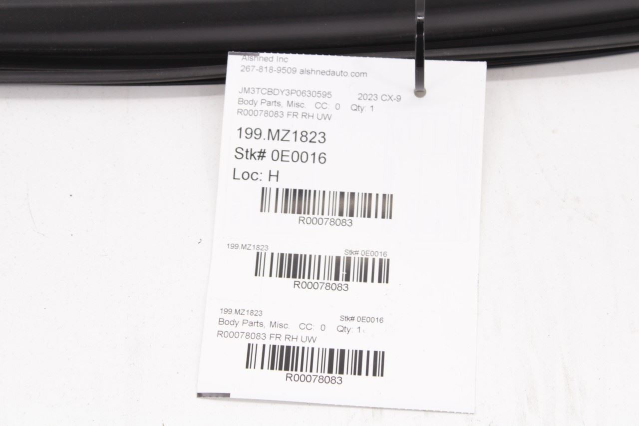 2016-2023 Mazda CX9 Front Right Door Run Channel w/ Belt Molding Weatherstrip - Alshned Auto Parts