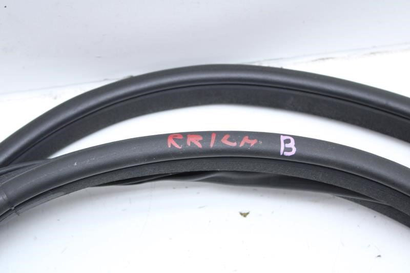 2017-20 Infiniti QX60 Rear Left Side Door Weather Strip On Body 76924-3JA1A OEM - Alshned Auto Parts