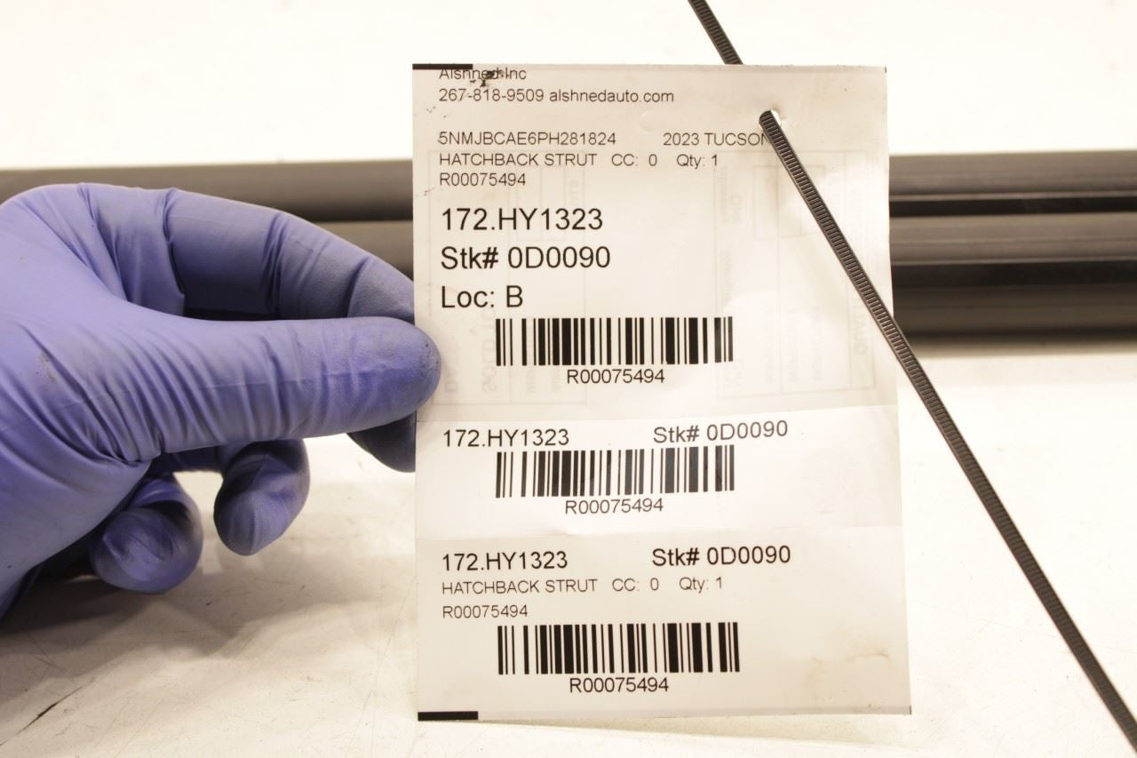 22-25 Hyundai Tucson SEL RR LH and RH Side Liftgate Power Lift Strut 81831-N9100 - Alshned Auto Parts