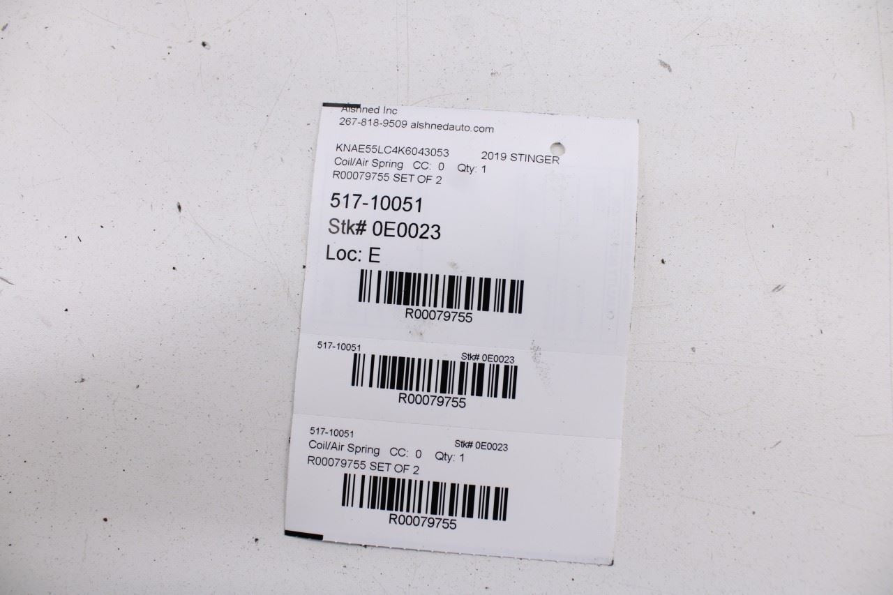 2018-23 KIA Stinger GT2 AWD Rear Right and Left Side Suspension Coil Spring Pair - Alshned Auto Parts