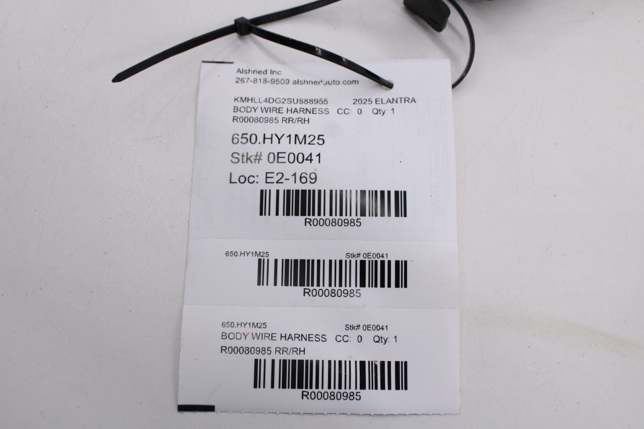 2021-2025 Hyundai Elantra SE Rear Right Side Door Wire Harness 91630-AA010 OEM12