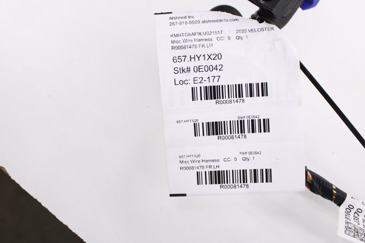 2019-2021 Hyundai Veloster Front Left Driver Side Door Wire Harness 91600-J387013