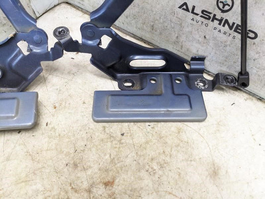 18-23 Ford Expedition Hood Hinges w Lift Cylinder Shocks JL1Z-16796-A OEM *ReaD* - Alshned Auto Parts