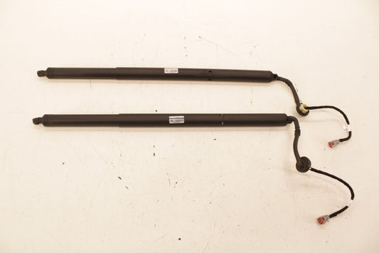 18-24 Ford Expedition MAX XLT Rear Right and Left Liftgate Lift Cylinder Strut - Alshned Auto Parts