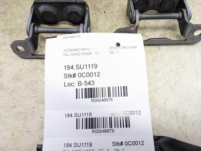 19-23 Subaru Forester RR Tailgate Liftgate Door Hinge RH/LH Pair 60879FJ001 OEM - Alshned Auto Parts