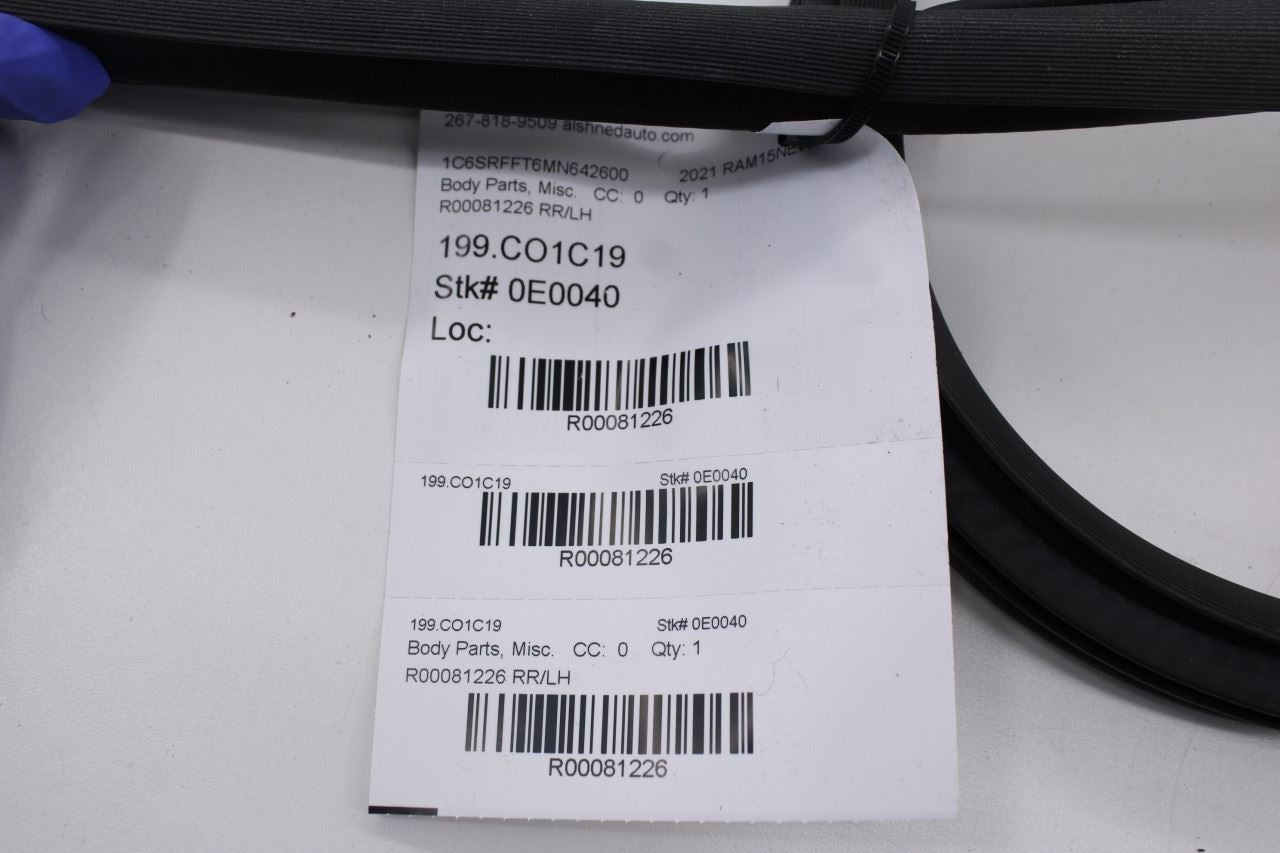 2019-2026 Ram 1500 Big Horn Crew Cab Rear Left Side Door Weatherstrip On Body11