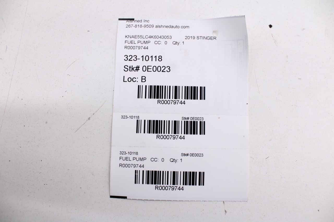 18-21 Kia Stinger GT2 AWD 3.3L In Tank Right and Left Fuel Pump Assy 31110-J5100 - Alshned Auto Parts