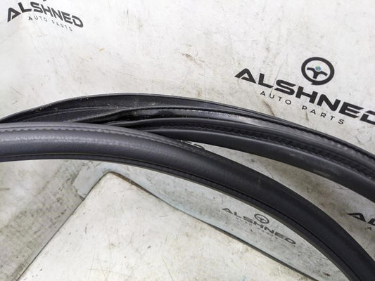 2018-24 Ford Expedition Front Right Door Weatherstip On Body JL1Z-7820708-A OEM - Alshned Auto Parts