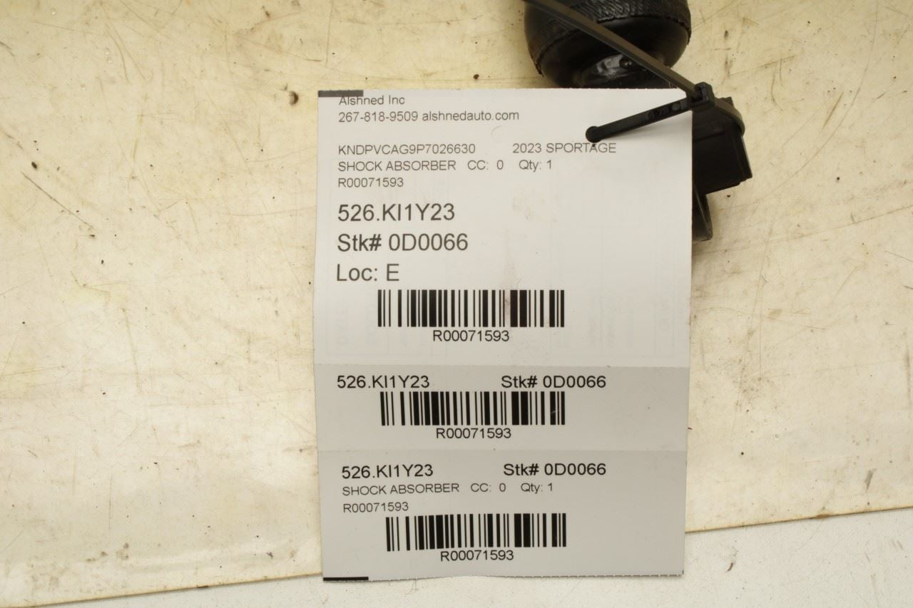 23-2025 Kia Sportage Hybrid EX 1.6L Rear Right Shock Strut Absorber 55300-CH210 - Alshned Auto Parts