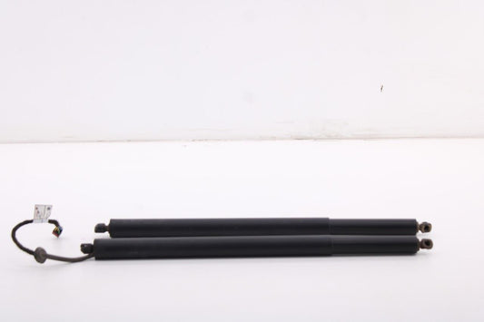 21-23 Hyundai Santa Fe Rear Right and Left Liftgate Power Lift Strut 81841-S1600 - Alshned Auto Parts