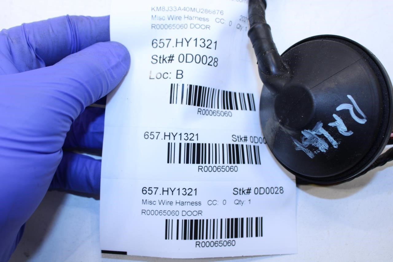 2019-21 Hyundai Tucson Value Rear Left Driver Door Wire Harness 91650-D3210 OEM - Alshned Auto Parts