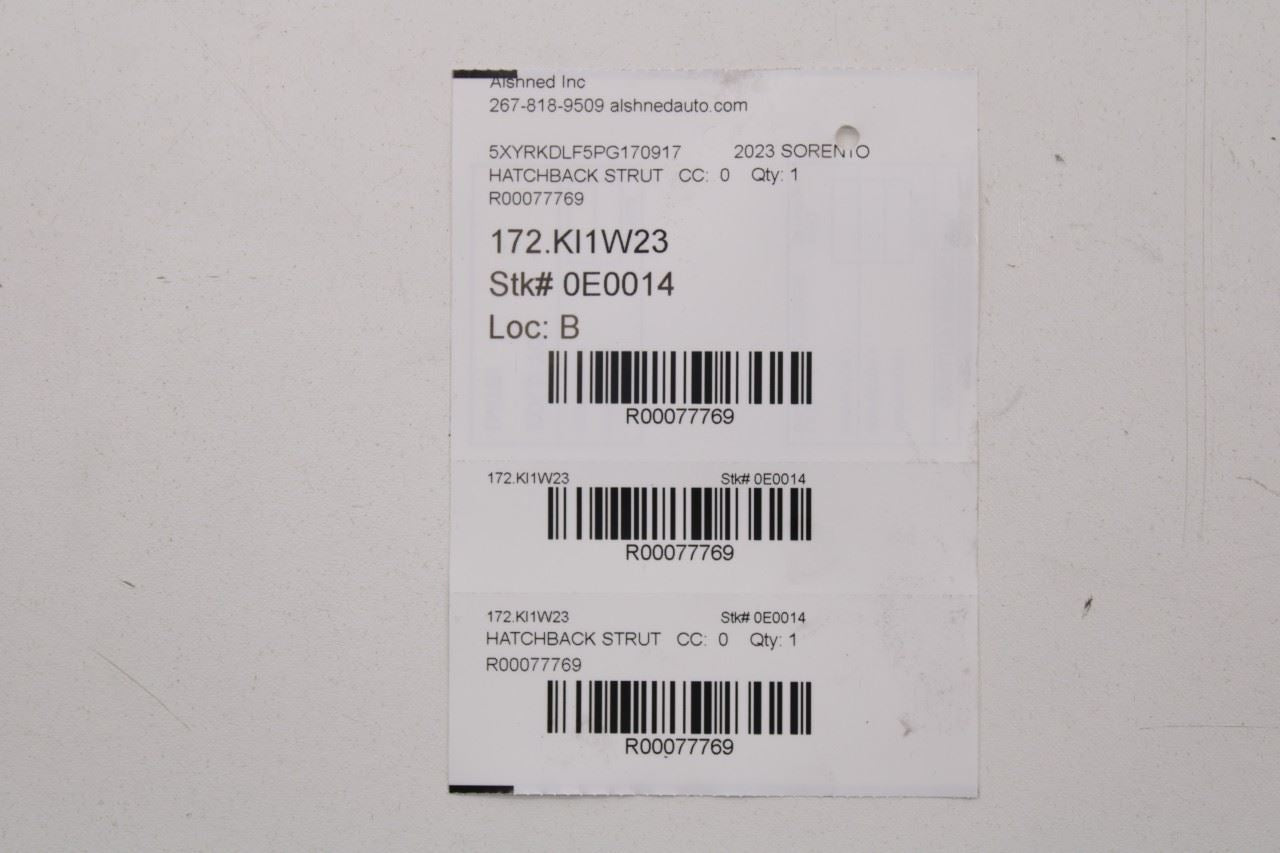 21-25 Kia Sorento X-Line RR Right and Left Liftgate Power Lift Strut 81840-R5100 - Alshned Auto Parts