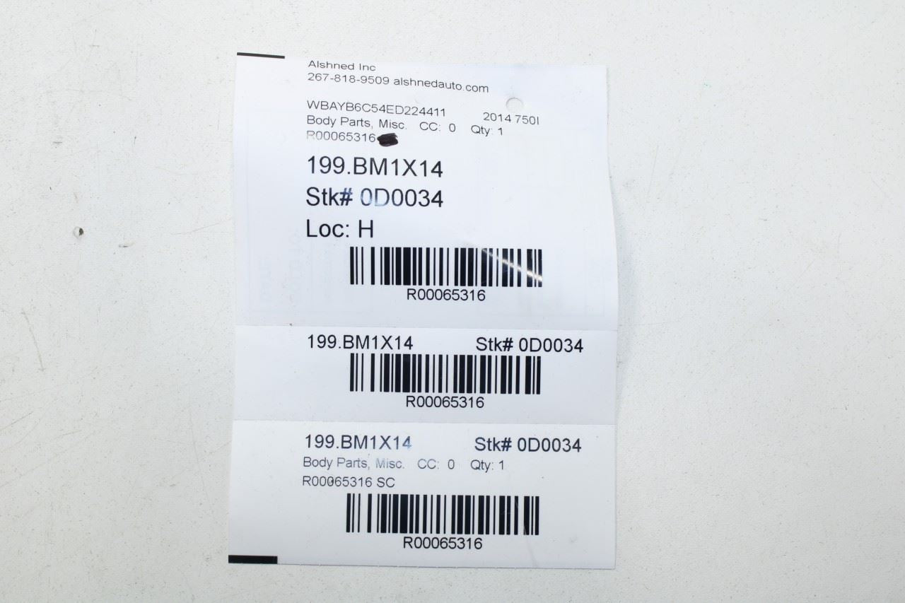 10-15 BMW 750i xDrive Rear Left Door Window Run Channel w/ Moldings 51357178021 - Alshned Auto Parts