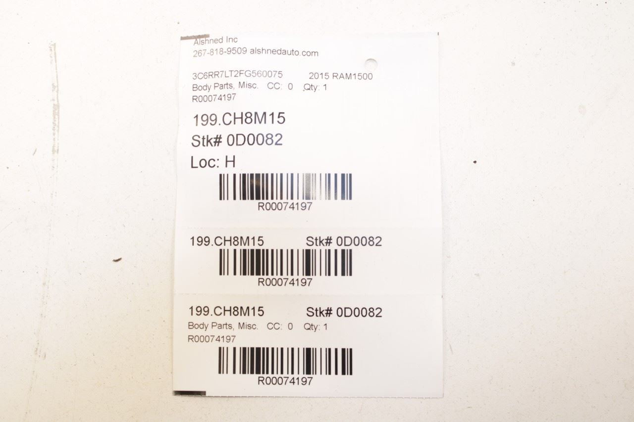 2011-18 Ram 1500 Big Horn Rear Right Door Run Channel w/ Belt Inner Weatherstrip - Alshned Auto Parts