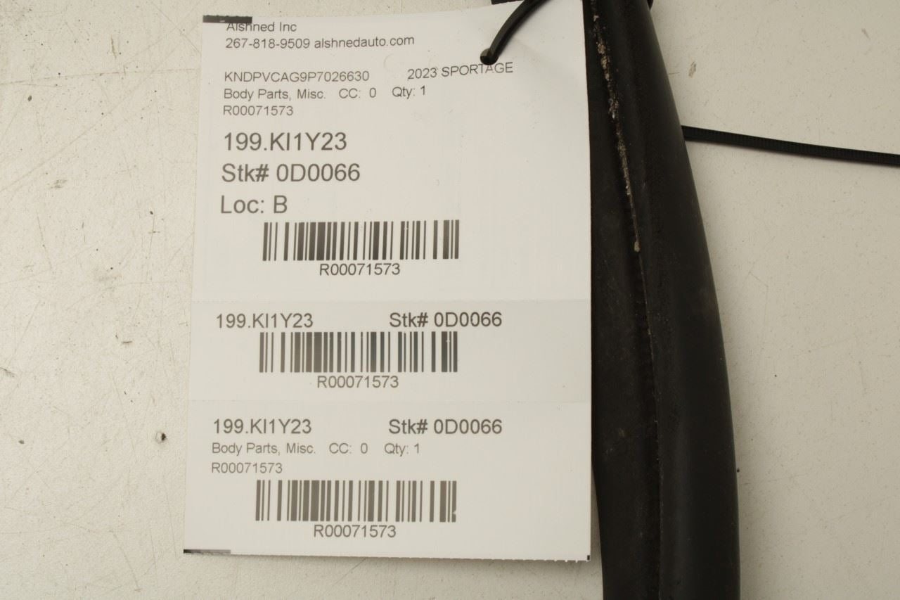 2023-25 Kia Sportage Hybrid EX Front Left Door Weatherstrip On Body 82110-P1000 - Alshned Auto Parts