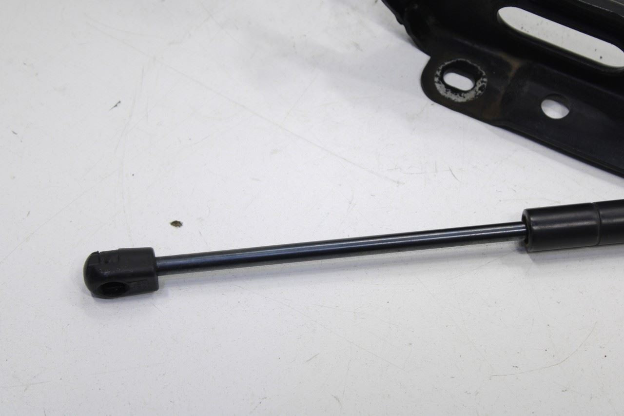 2015-20 Ford F150 Super Cab Lariat Front RH and LH Hood Hinge Set w/ Lift Struts - Alshned Auto Parts
