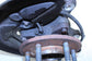2015-2020 Ford F150 Platinum 2WD Front Left Spindle Knuckle Hub FL34-3K186-B OEM - Alshned Auto Parts