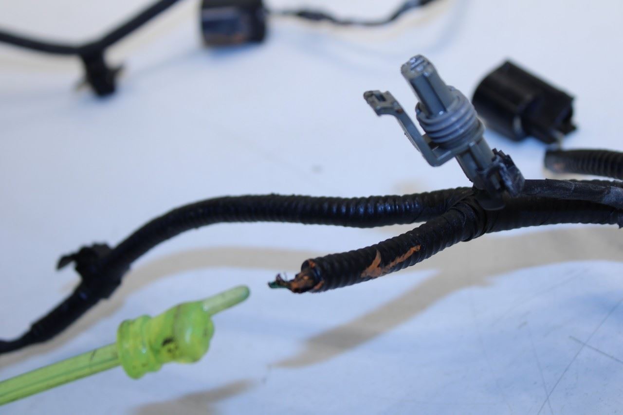 2020-2022 Kia Soul 2.0L AT Engine Wiring Harness 91440-K0080 OEM *ReaD* - Alshned Auto Parts