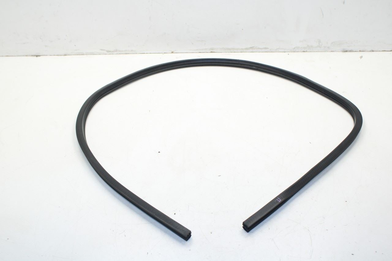 2008-2023 Dodge Challenger Front Right Door Run Channel w/ Weatherstrip On Body - Alshned Auto Parts