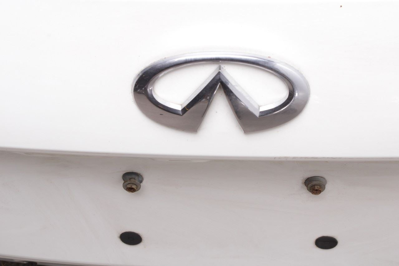 2017-2020 Infiniti QX60 Rear Liftgate Back Door Shell Panel w/ Glass 90100-9NC1A - Alshned Auto Parts