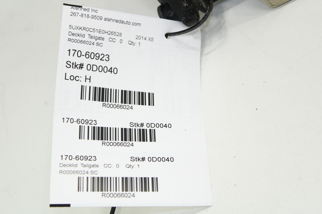 2014-2018 BMW X5 xDrive35i Rear Tailgate Trunk Lid Lower Shell Panel 41007378123 - Alshned Auto Parts