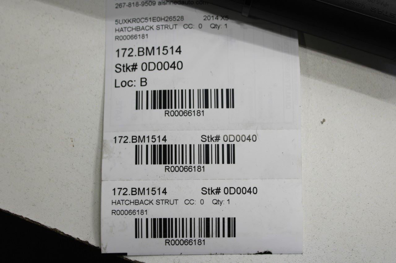 2014-2018 BMW X5 Rear Liftgate Lid RH and LH Power Lift Cylinder Shock Strut Set - Alshned Auto Parts