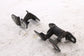 2011-2025 Dodge Durango SXT Front Right Side Door Hinge Upper and Lower Pair8