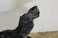 2020-2025 Ford Escape 2.0L AWD Front Suspension Crossmember Subframe LX6Z-5019-P - Alshned Auto Parts