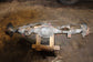 2013-18 Ram 1500 Laramie 5.7L 4WD Rear Axle Differential Carrier 3.21 ratio 183K - Alshned Auto Parts