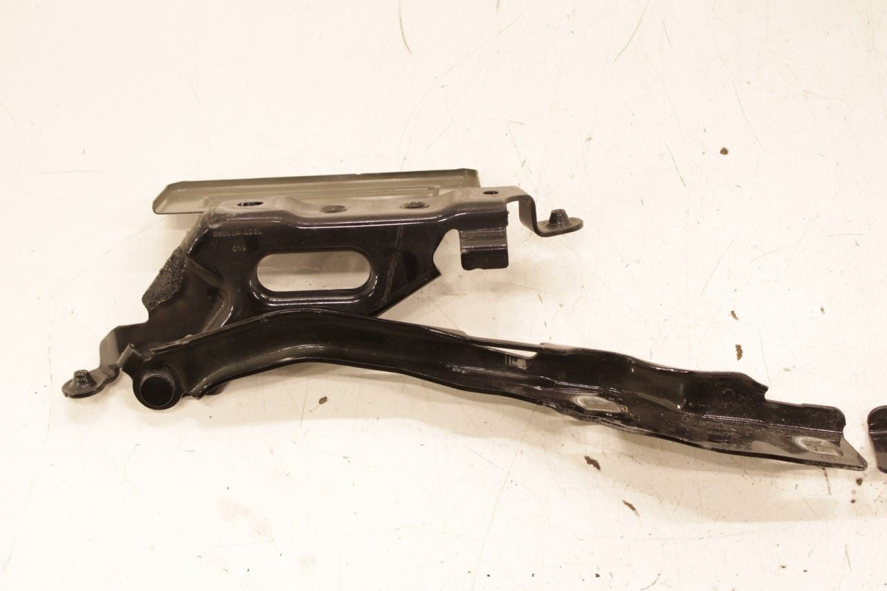 2018-24 Ford Expedition MAX XLT Front Right and Left Driver Side Hood Hinge Set - Alshned Auto Parts