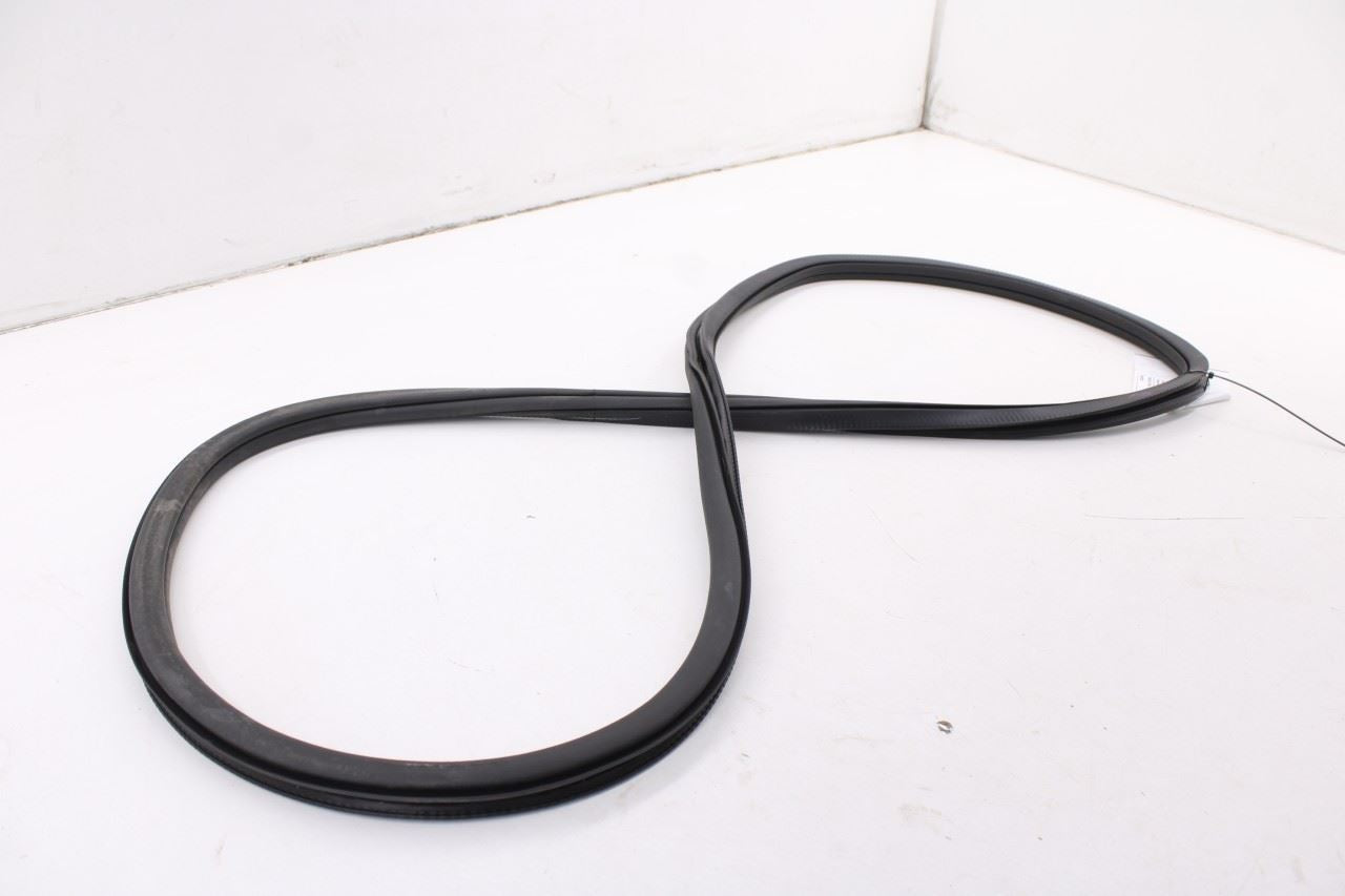 19-26 Volkswagen Jetta SE Rear Left Door Weatherstrip On Body 17A867913A9B9 OEM6