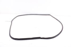 15-20 Toyota Sienna LE Front Right Side Door Weatherstrip On Body 62311-08020-B1