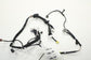 2021-22 Nissan Rogue Sport SL AWD Front Right Door Wire Harness 24124-6MT0B OEM - Alshned Auto Parts