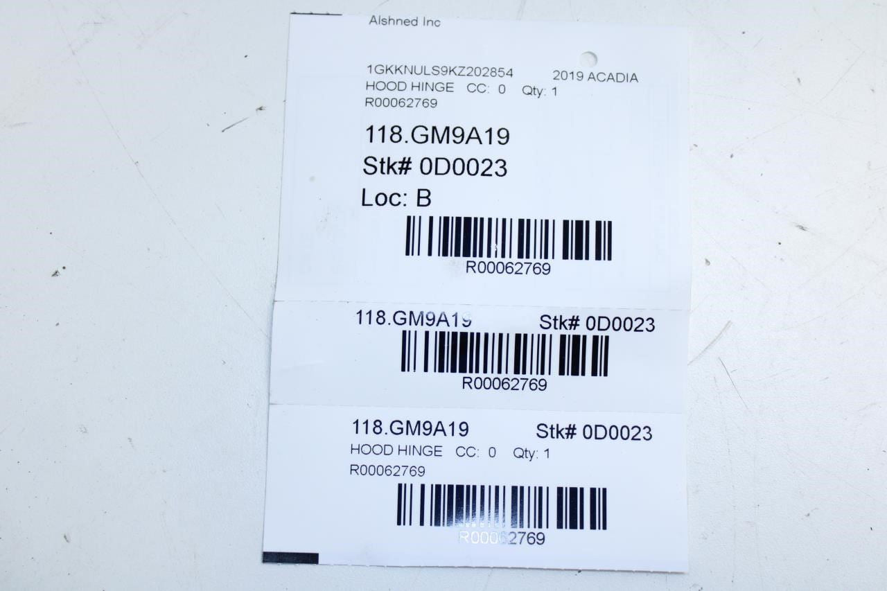 2017-2023 GMC Acadia SLT-1 Front Right and Left Hood Hinge w/ Bolts 23100631 OEM - Alshned Auto Parts