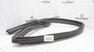 15-25 Ford F150 Crew Cab Rear Right Door Window Run Channel FL34-1625766-AX OEM