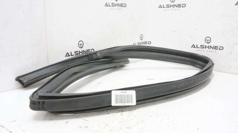 15-25 Ford F150 Crew Cab Rear Right Door Window Run Channel FL34-1625766-AX OEM - Alshned Auto Parts