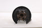 16-22 Acura ILX Technology A-Spec Rear Right Passenger Side Spindle Knuckle Hub - Alshned Auto Parts