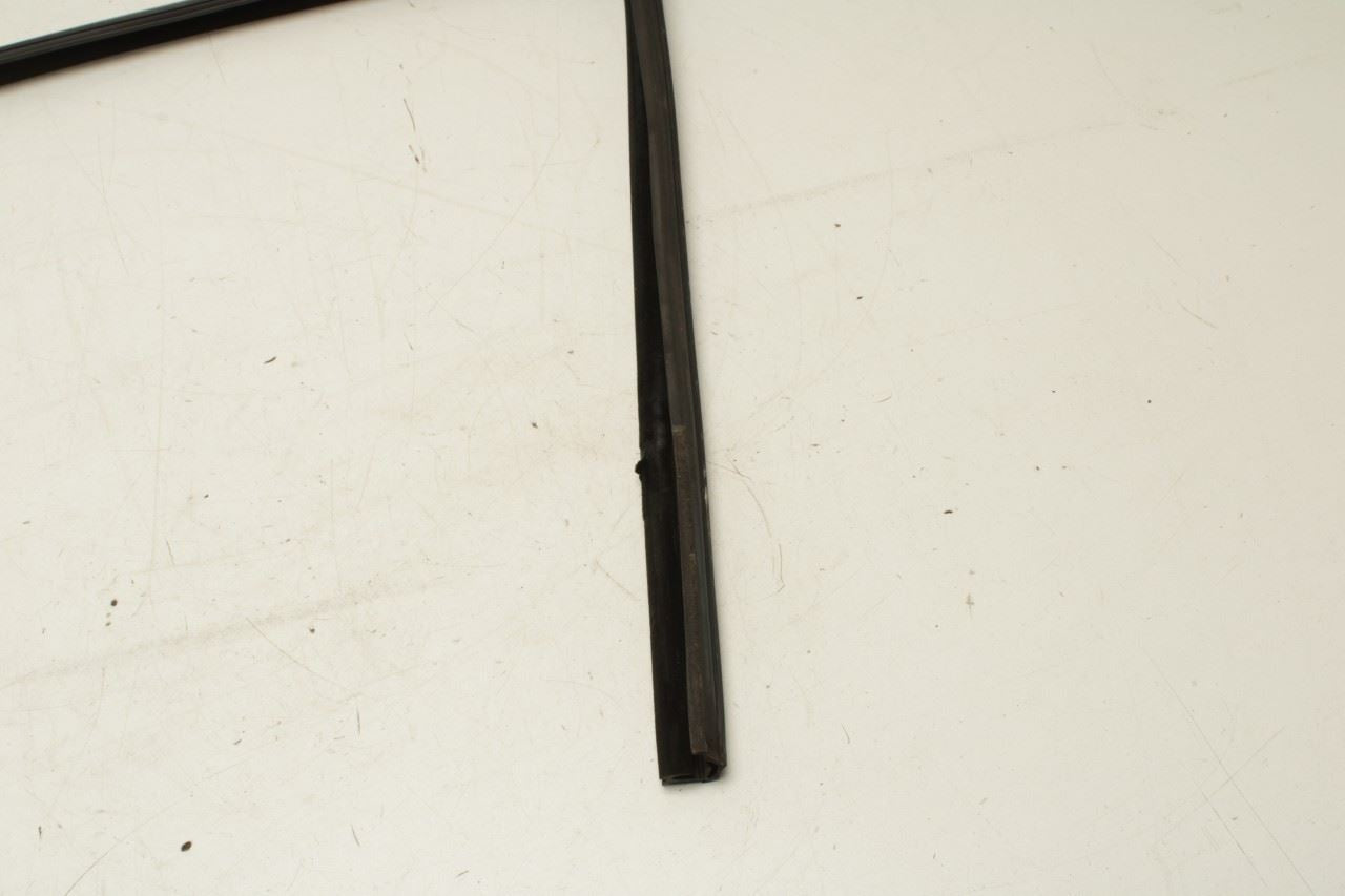 2010-15 BMW 750Li xDrive Rear Right Door Run Channel w/ Molding Set 51357179130 - Alshned Auto Parts
