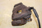 2010-15 BMW 750Li xDrive Rear Right and Left Side Brake Disc Caliper 34216786832 - Alshned Auto Parts