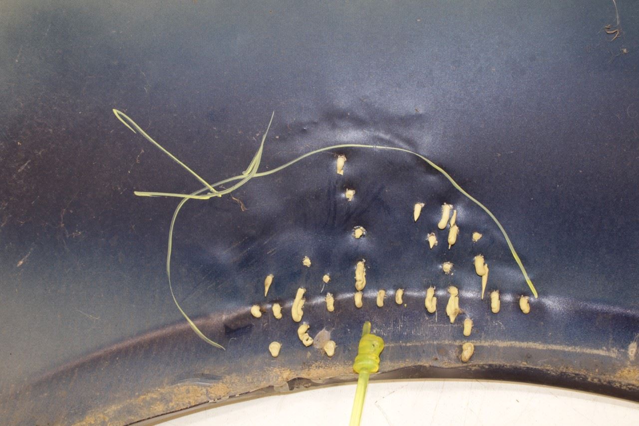 2014-21 Maserati Ghibli S Q4 Front Right Side Fender Panel 673002042 OEM *ReaD* - Alshned Auto Parts