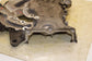 2012-2017 Jeep Wrangler Sahara 3.6L Engine Front Timing Chain Cover 68079232AB - Alshned Auto Parts