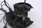 2006-2009 Mercedes-Benz CLK 350 Rear Right Passenger Side Spindle Knuckle Hub2