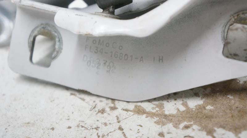 15-20 Ford F150 Front Left and Right Hood Hinge w/ Lift Gas Struts FL3Z-16797-B3