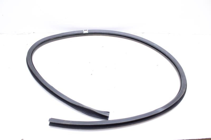 15-23 Ford Mustang Front Left Door Lower Weathestrip On Body FR3Z-6320708-B OEM - Alshned Auto Parts