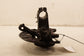 2012-2022 Volkswagen Passat SE Front Left Side Spindle Knuckle Hub 561-407-255 - Alshned Auto Parts